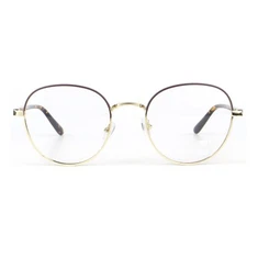 Fráma Optúil Comhcheangailte